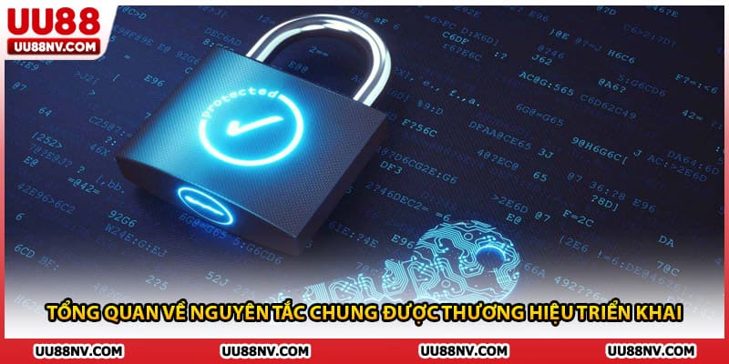 Tổng quan về nguyên tắc chung được thương hiệu triển khai